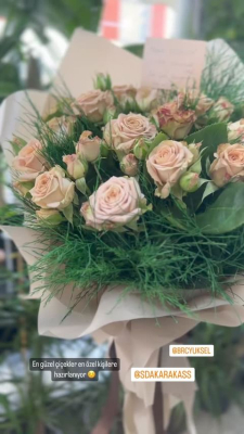 CAPİÇİNO İTAL GÜL 