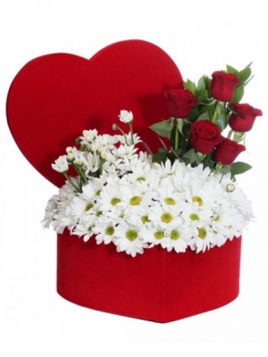 Kutuda Papatya ve Güller